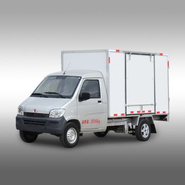 Электрический грузовичок  SF5030EV