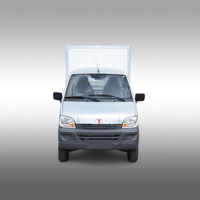 Электрический грузовичок  SF5030EV