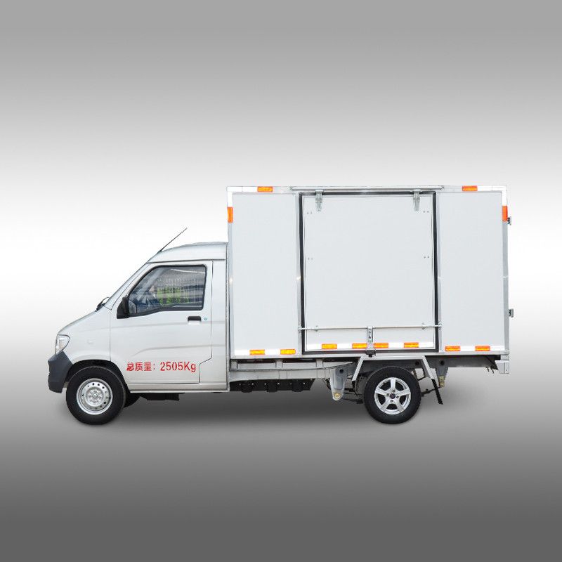 Электрический грузовичок  SF5030EV