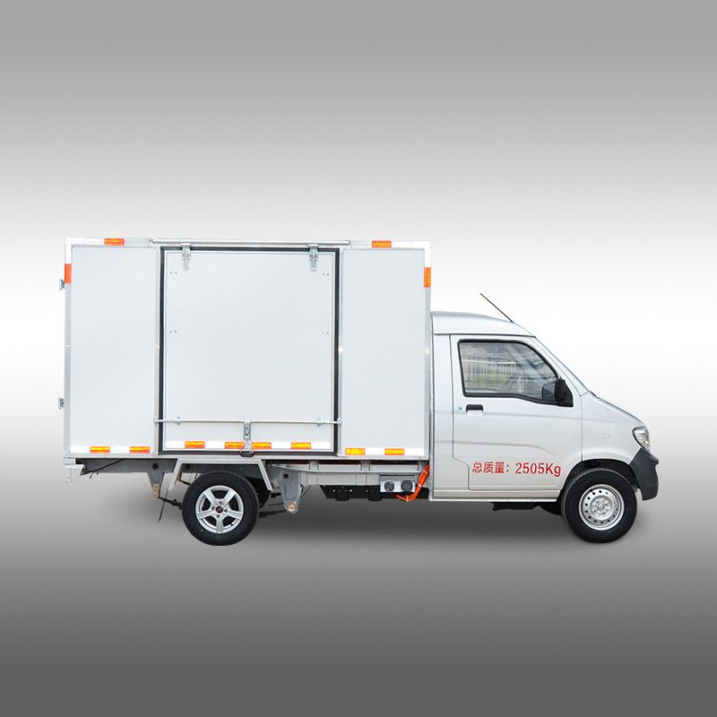 Электрический грузовичок  SF5030EV