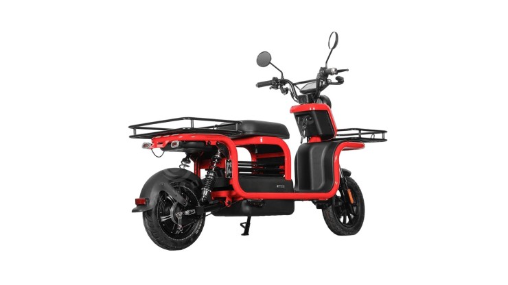 Cкутер для доставки SL-ES03 10 дюймовий мотор