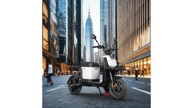 Cкутер для доставки SL-ES02 10 дюймовий мотор