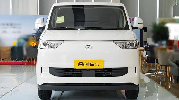 Electric Cargo Van-EC75