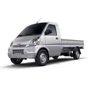 Mini Electric Trucks for Business – EVC Energy