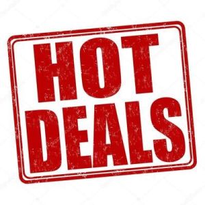 Hot Deals on Chinese Electric Cars – EVC Energy