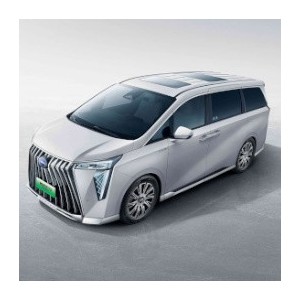 Electric Minivans from China | Buy Family EV - EVC Energy