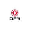 Dong Feng